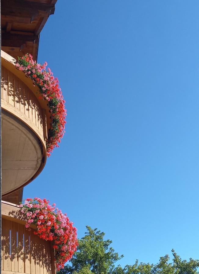 Al Truciolo Apartment Andalo Exterior foto
